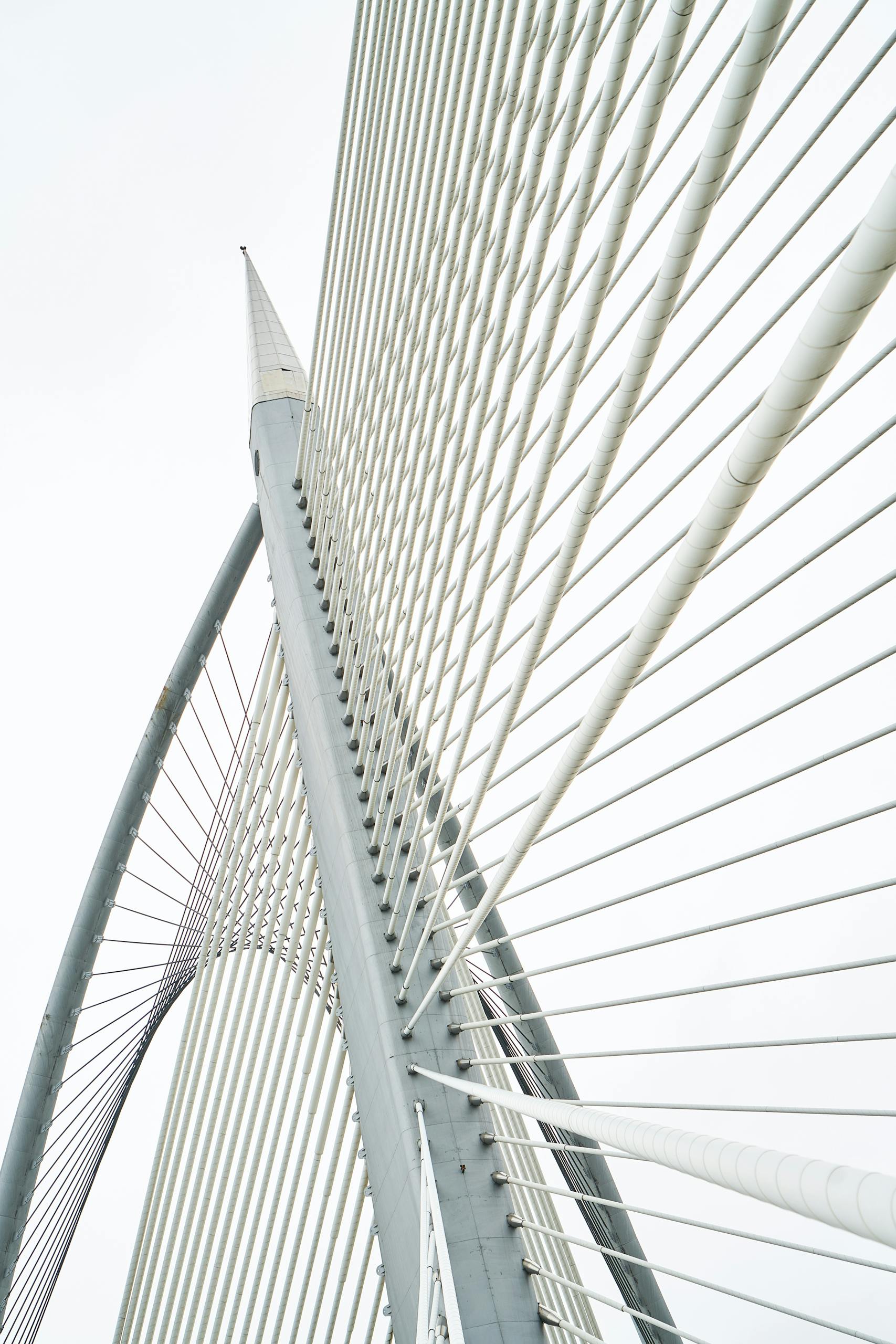 An architectural marvel showcasing geometric structure and steel cables set against a clear sky.